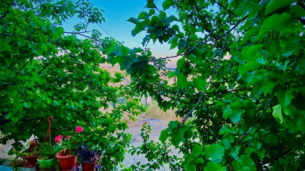 Jerash Canopy 제라시 외부 사진